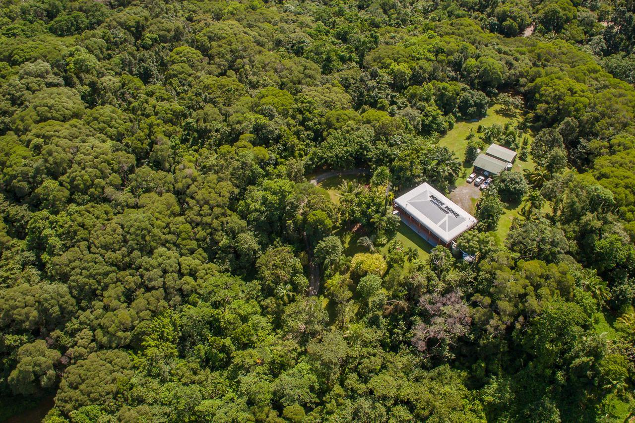 Daintree Manor B&B Екстер'єр фото