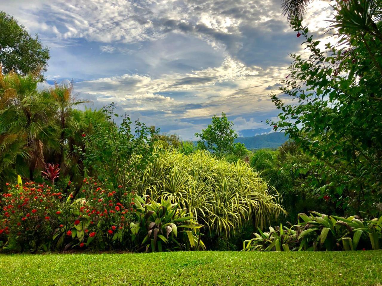 Daintree Manor B&B Екстер'єр фото