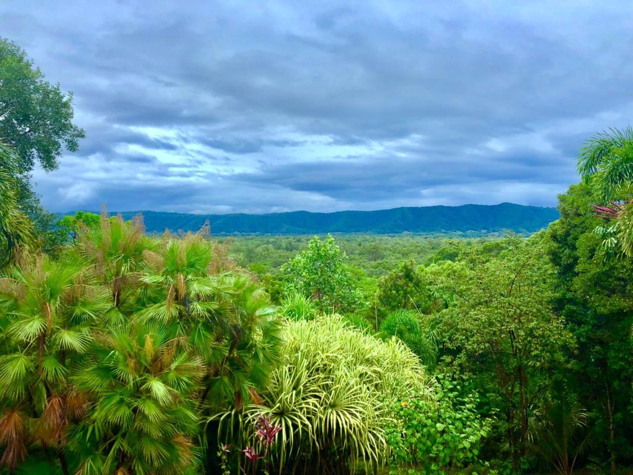 Daintree Manor B&B Екстер'єр фото